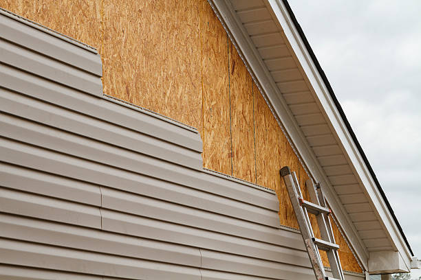 Professional Siding Inspection technician working in Estes Park, CO